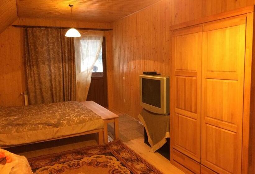 פנסיון Guest House In Carpathians