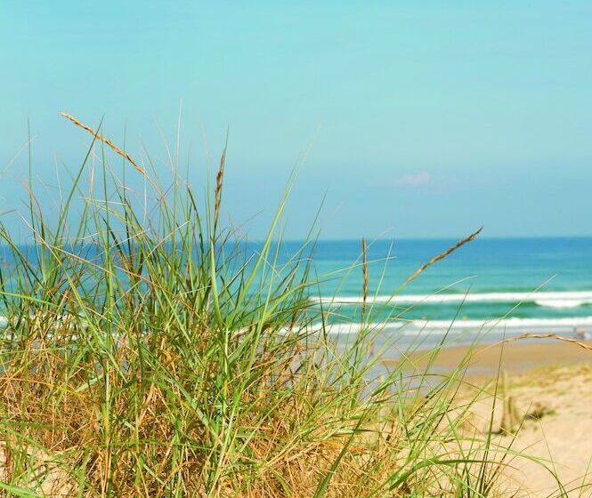 호텔 Résidence Vacances Bleues Domaine De L Agreou