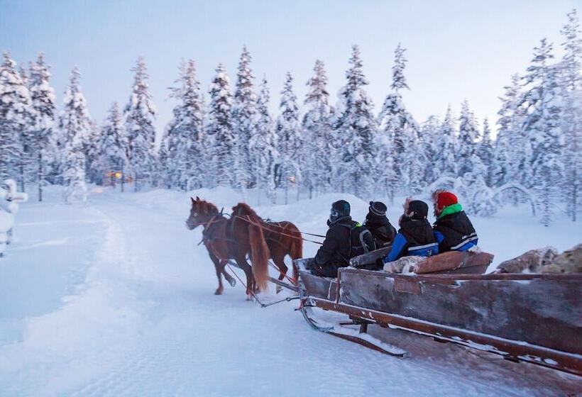 Kakslauttanen Arctic Resort   Igloos And Chalets