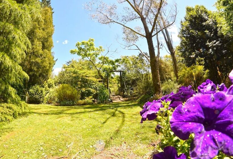 בית מלון כפרי Te Popo Gardens And Accommodation