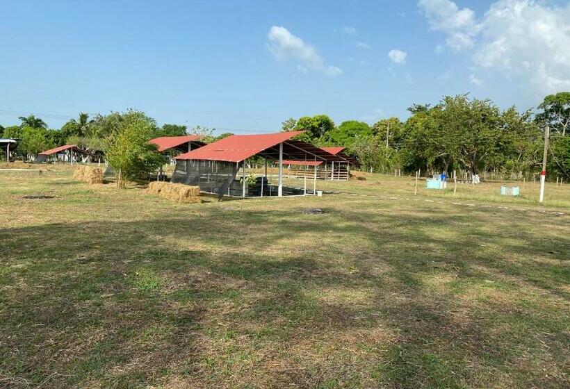 ベッドアンドブレックファースト Granja De Animales San Basilio De Palenque