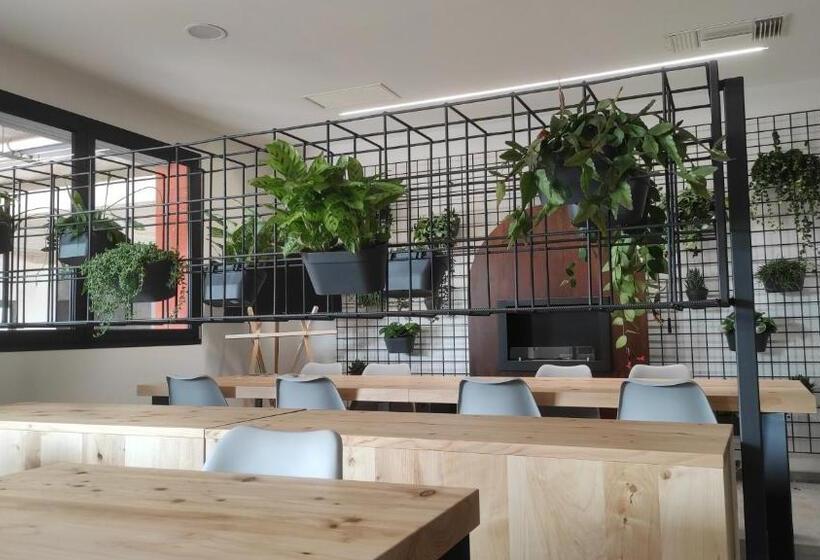 בית מלון כפרי Bareta