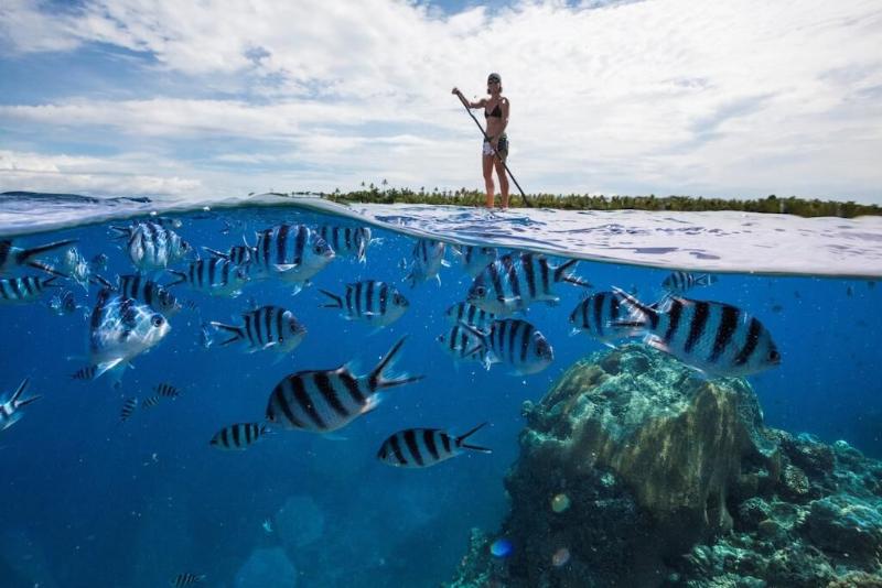 هتل Serenity Island Resort