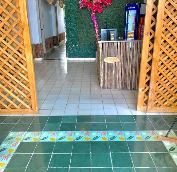 Hostel Boutique Musa Paradisiaca