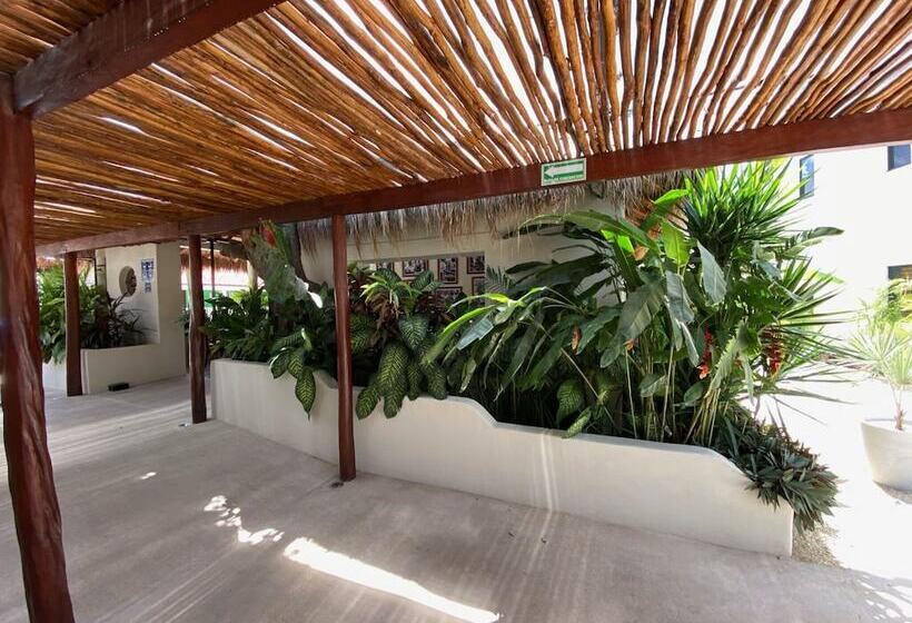 هتل Blue Palm Bacalar