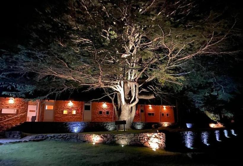 هاستل Ventorrillo De La Buena Vista