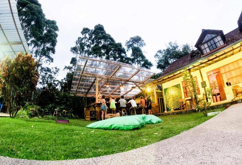 هتل Mama Tungu Hostel