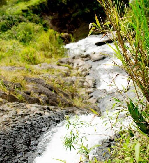 هتل Mama Tungu Hostel