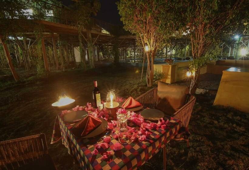 בית מלון כפרי Tadoba Jungle Camp