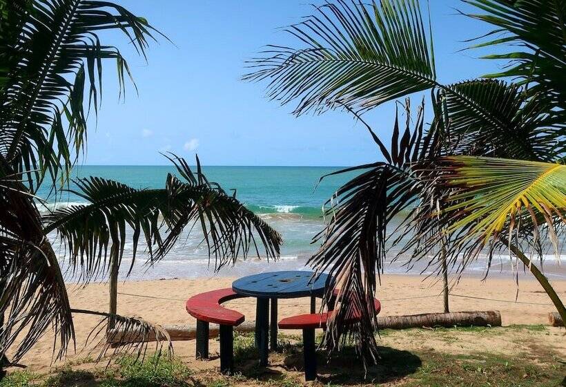 فندق Afro Beach Eco Resort Butre