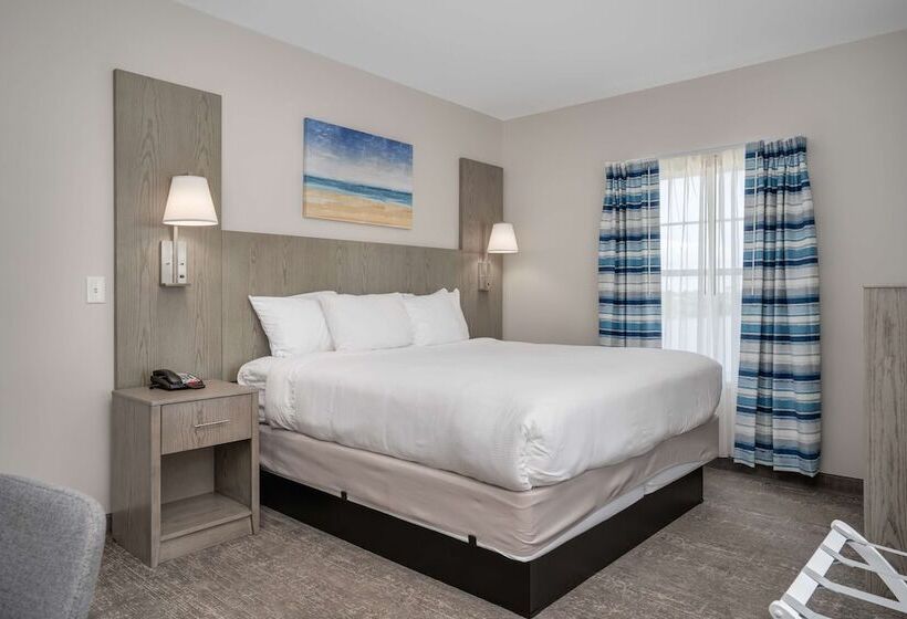 Отель Lighthouse Suites   Best Western Signature Collection