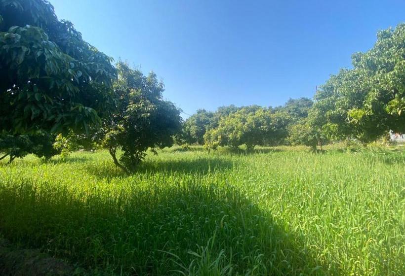 酒店 Lushy Days Boom Camp