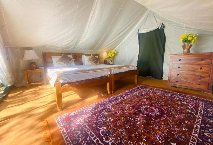 酒店 Lushy Days Boom Camp