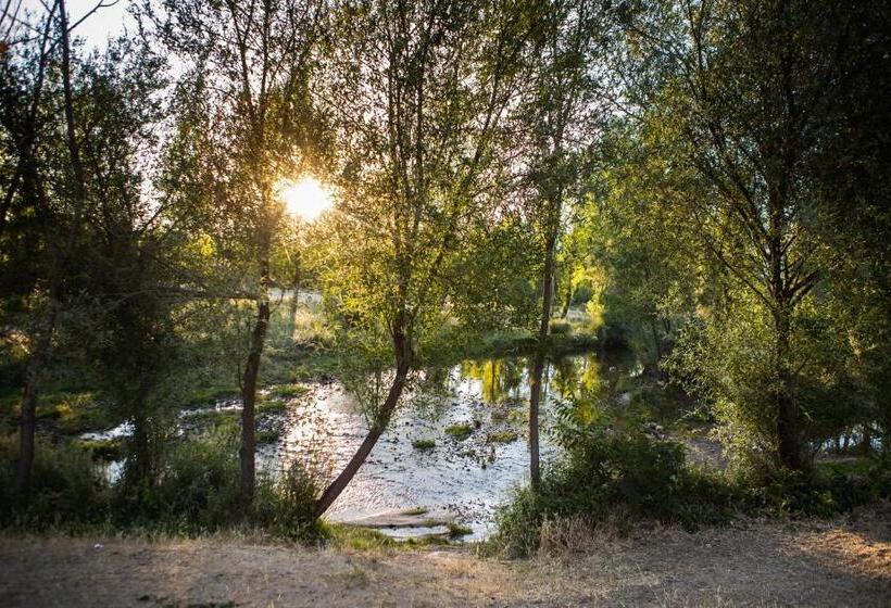 בית מלון כפרי Rural El Jardin