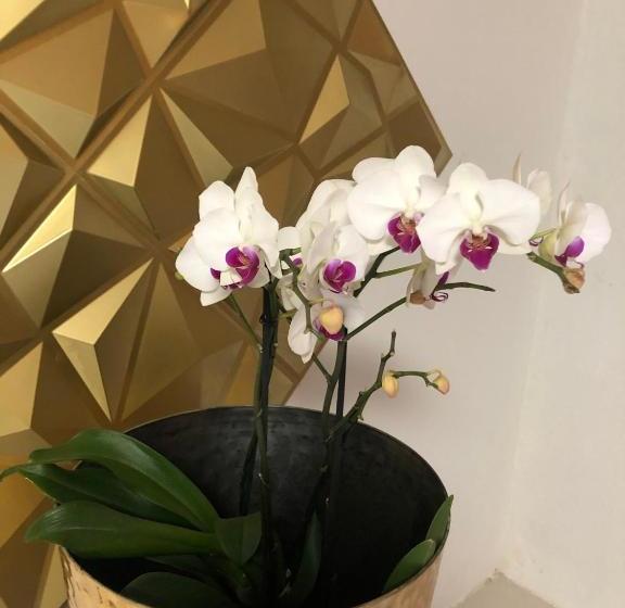 هتل Orquídea