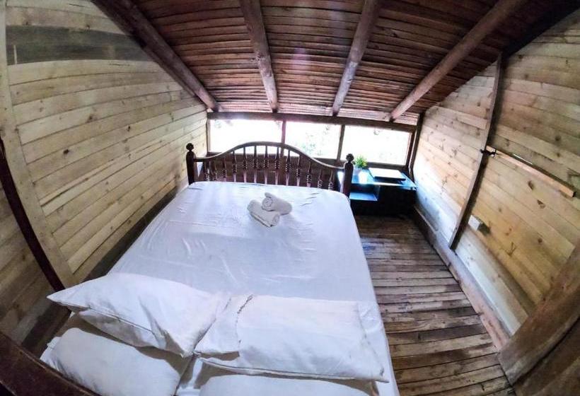 Tamarindo Beach Hostel