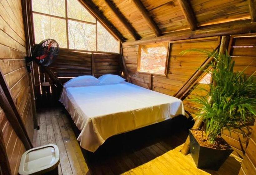 Tamarindo Beach Hostel