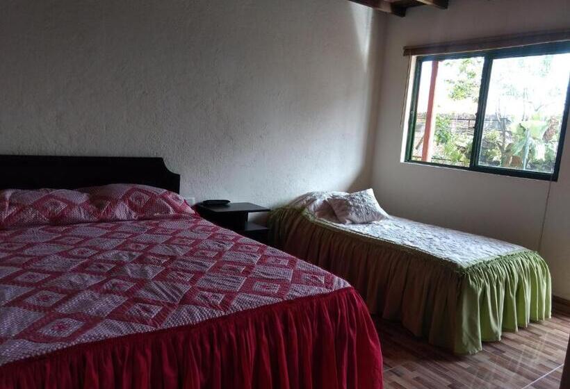 هاستل Aroma Cafetera