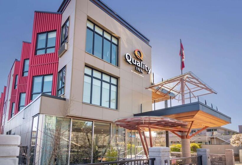בית מלון כפרי Quality Inn