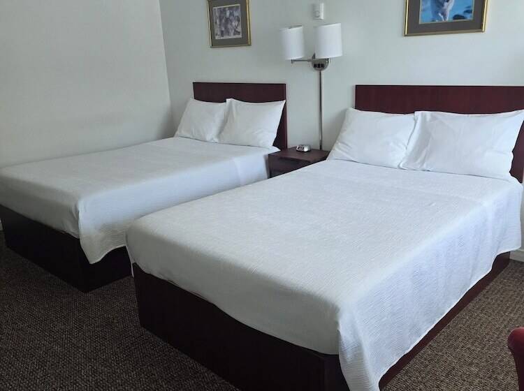 White Fang Motel