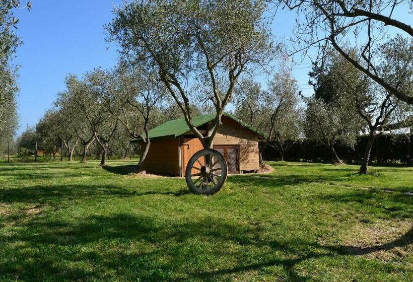 فندق Agriturismo Il Giglio Di Sant  Antonio