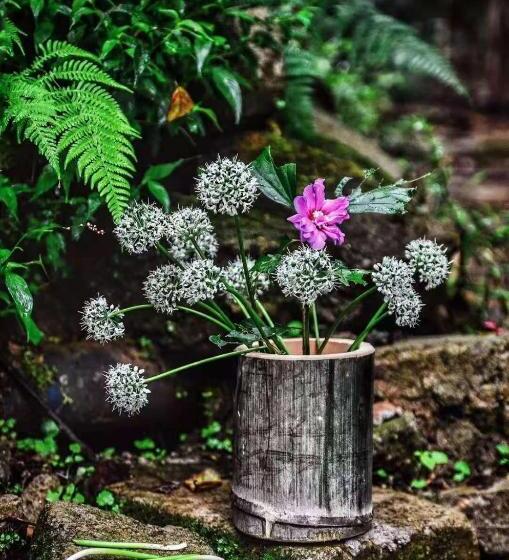 Отель Longji Terrace La Vie Inn