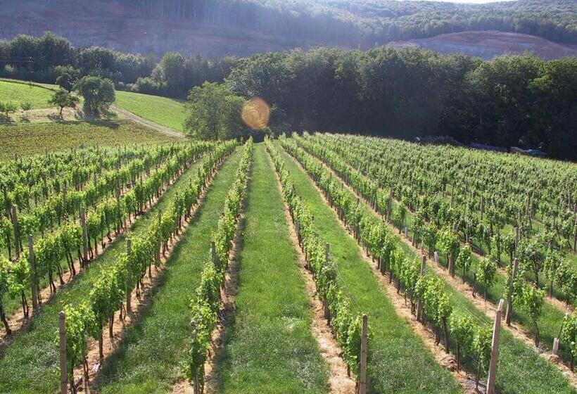 ホテル Weinlandhof