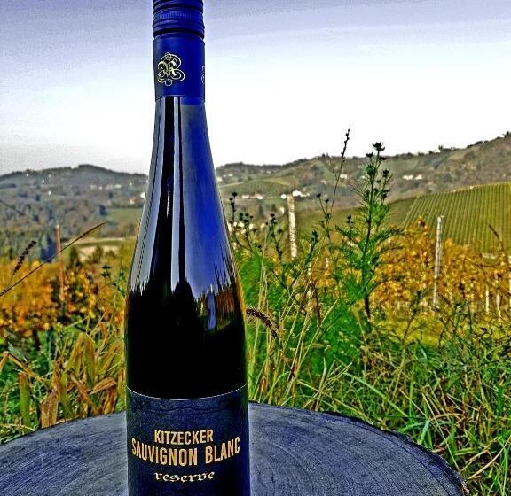 ペンション Weingut Reiterer
