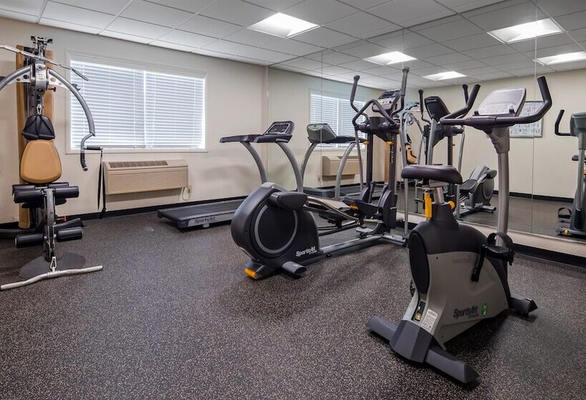 هتل Best Western Plus Newark/christiana Inn