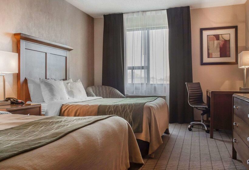 酒店 Comfort Inn