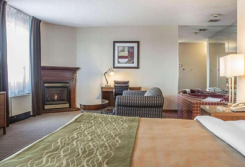 酒店 Comfort Inn