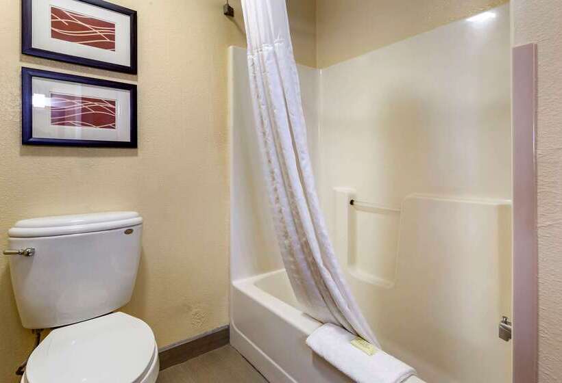 酒店 Comfort Inn & Suites North Aurora   Naperville