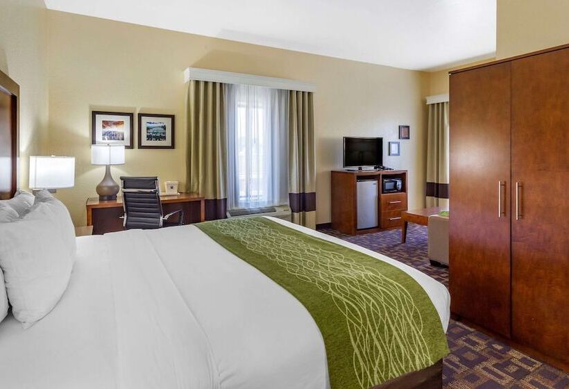 酒店 Comfort Inn & Suites North Aurora   Naperville