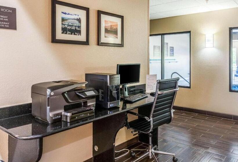 酒店 Comfort Inn & Suites North Aurora   Naperville