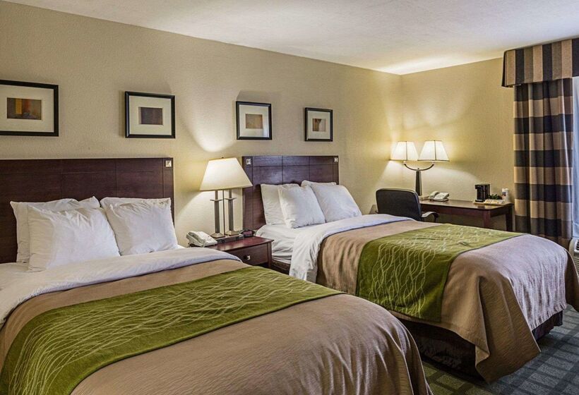 هتل Comfort Inn Southwest Fwy At Westpark