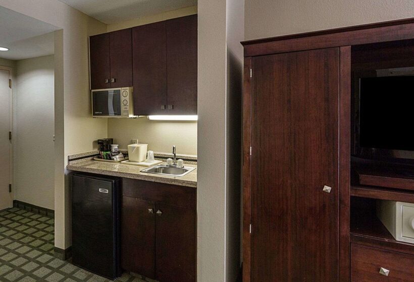 هتل Comfort Inn Southwest Fwy At Westpark