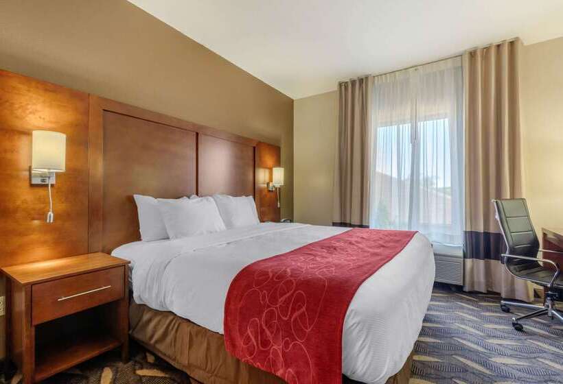 酒店 Comfort Suites