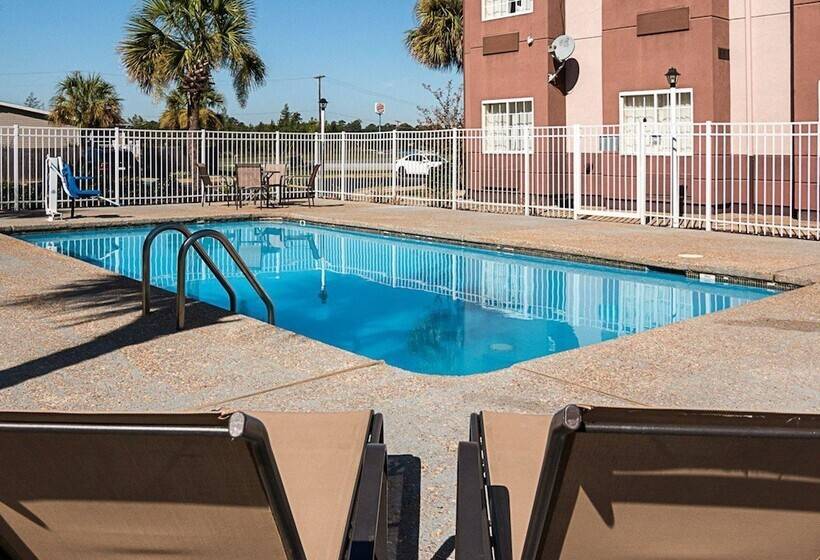 בית מלון כפרי Econo Lodge Inn & Suites Natchitoches