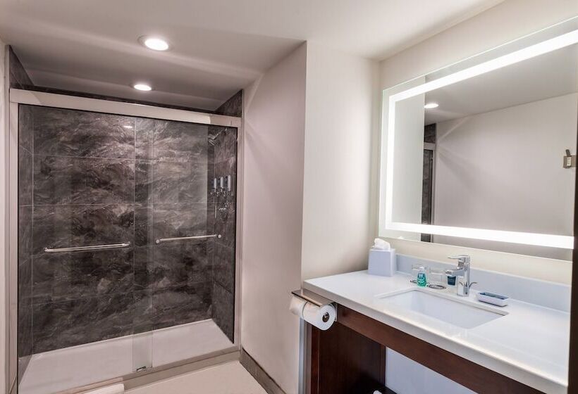هتل Four Points By Sheraton Atlanta Airport West