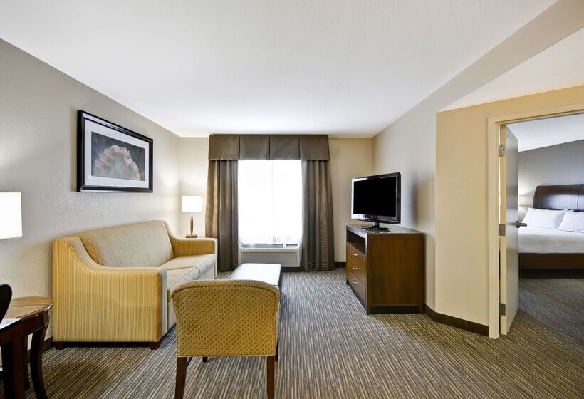 בית מלון כפרי Hilton Garden Inn Sarasotabradenton Airport