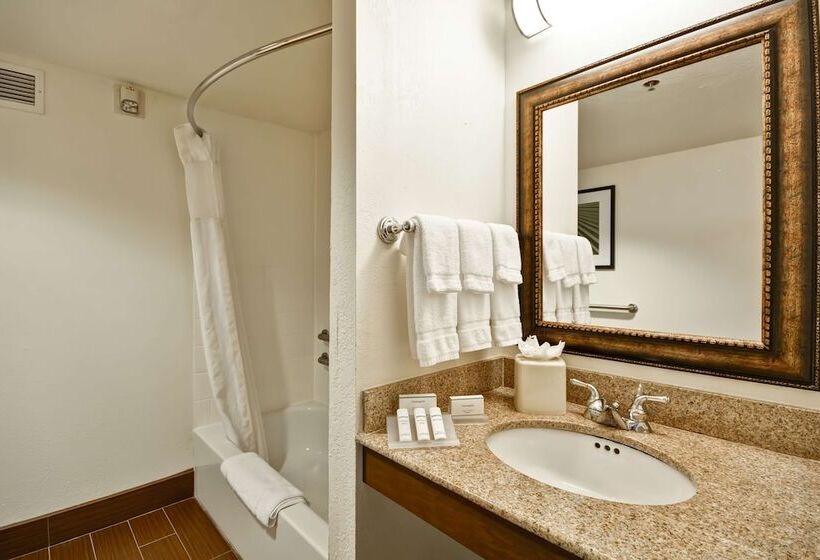 בית מלון כפרי Hilton Garden Inn Sarasotabradenton Airport