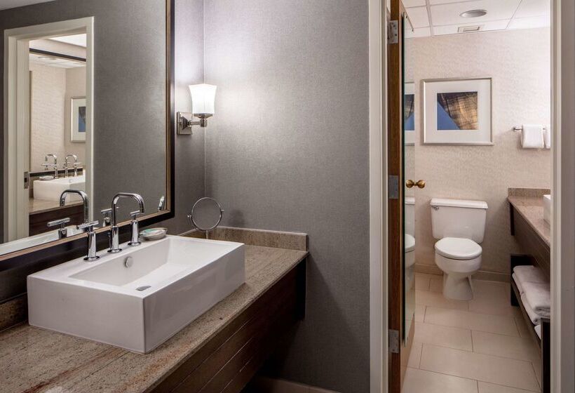 فندق Hyatt Regency Saint Louis At The Arch