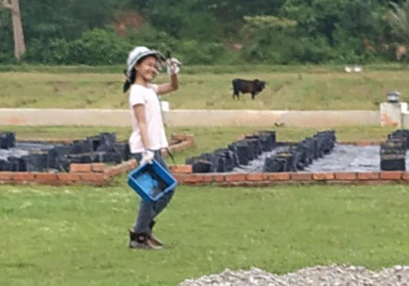 酒店 Halcyon Days @ Langkawi