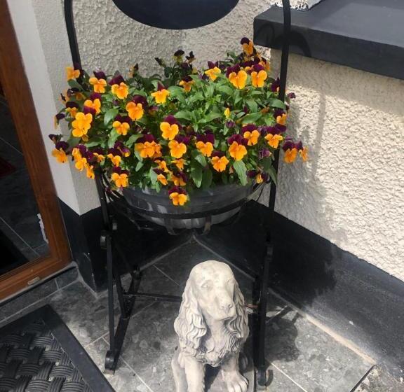 בית מלון כפרי Drumcoo Guest House