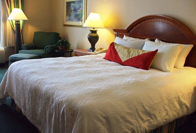 فندق Hilton Garden Inn Columbus Airport