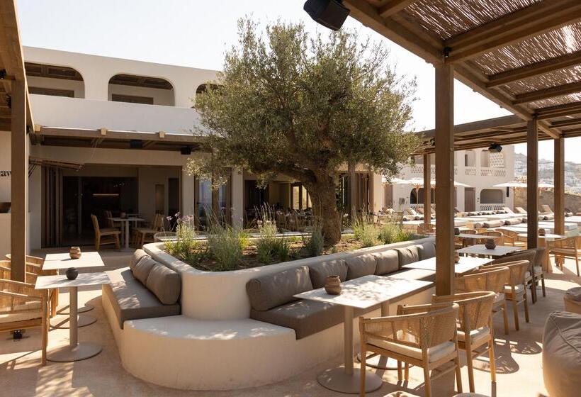 استراحتگاه Suntouch Suites