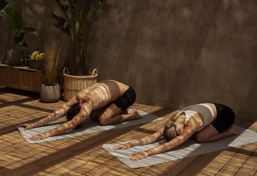 استراحتگاه Suntouch Suites