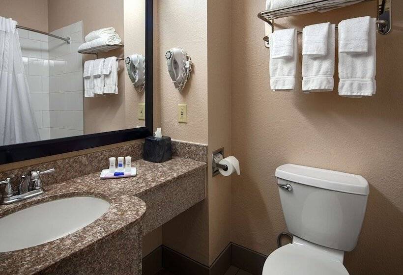 هتل Best Western Plus Kalamazoo Suites