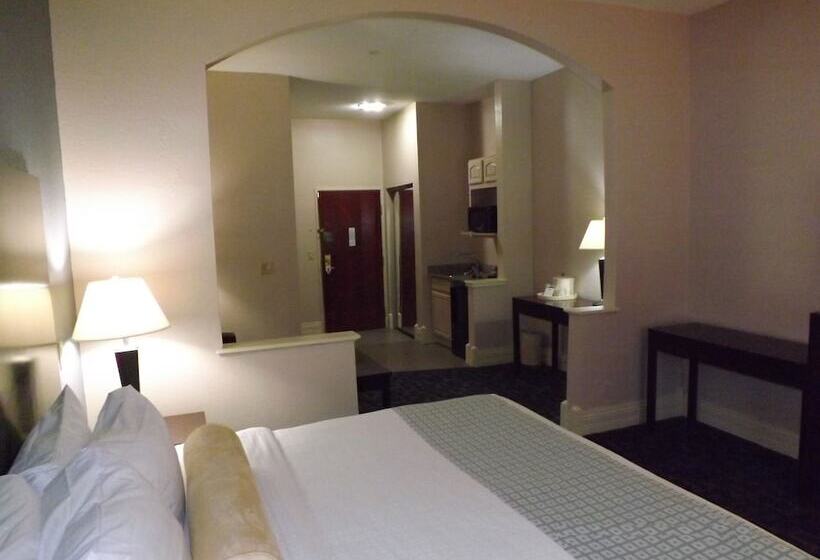 هتل Best Western Plus Kalamazoo Suites