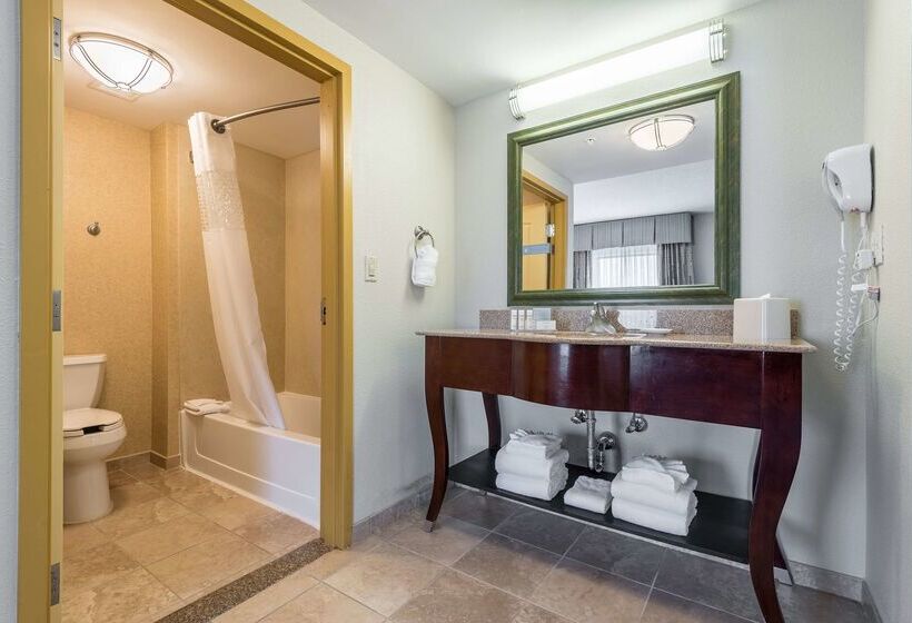 هتل Hampton Inn & Suites Orlando South Lake Buena Vista